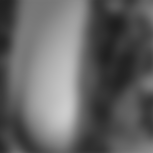 rencontre-Beurette-Poissy