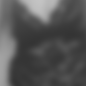 rencontre-Cougar-Levallois-Perret